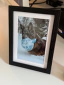 Tucker's framed photo
